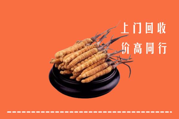 高价求购：崇左市龙州回收散虫草
