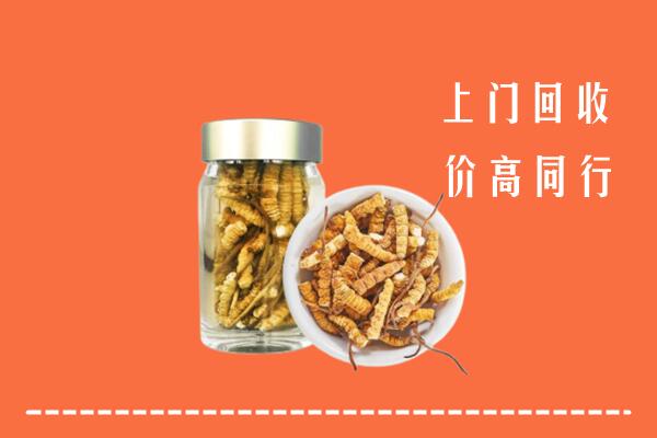 收购行情：崇左市龙州回收冬虫夏草
